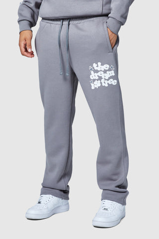 Dream Is Free 2.0 Jogger - Steel