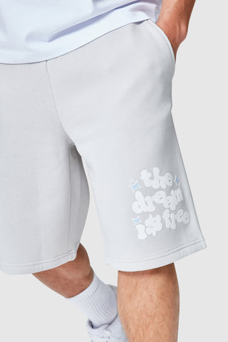 Dream Is Free 2.0 Twinset - Light Grey/Grey